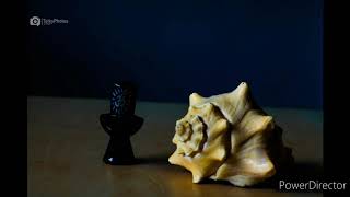 Shell and Shivling photography screenshot 5