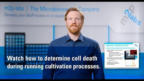 Cell death // Microbioreactor // m2p labs