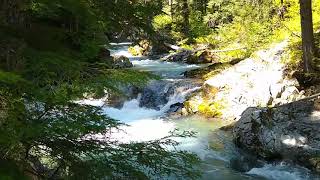 Falls on the upper Ohanapecosh River (Mt Rainier National Park)