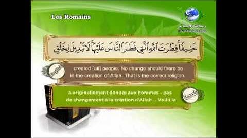 الشيخ سعد الغامدي سورة الروم