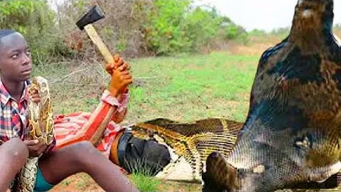 Primitive Technology - Easy Snake Trap Using Plier And Baby Duck Catch Big Python Snake at Canal