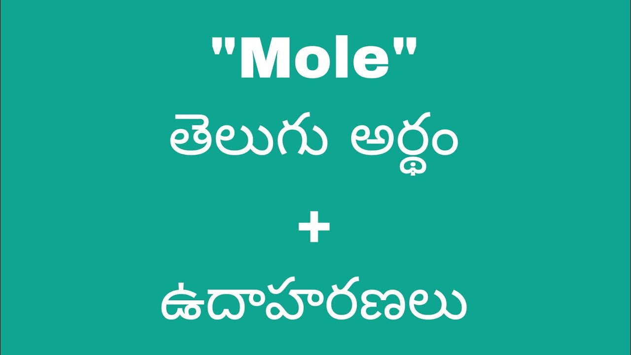 Mole Meaning In Telugu With Examples Mole Meaning In mole-meaning-in-telugu-with-examples-mole-meaning-in