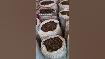 How Operation Pangolin Aims to Protect the World