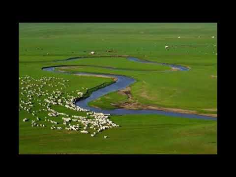 Teana Seven Vowels(Grassland Song)