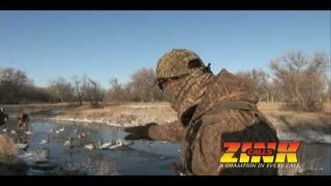 Hiding Blinds in Shadow