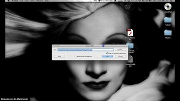 SWF to PDF Tutorial Adobe Acrobat Pro
