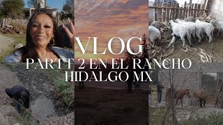 Rancho Mexico #2