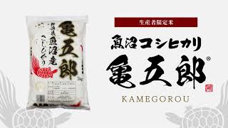 米 10kg 亀五郎さんのコシヒカリ 令和7年産 | 新潟のお米専門店 みのりや