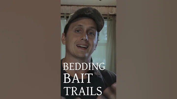 Why no BUCKS on Summer Trail Cameras can be OK👌🦌 #deerhunting #hunting #deerhunt #whitetaildeer whi