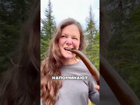 Самая БОГАТАЯ женщина выращивает водоросль💎🌿😮