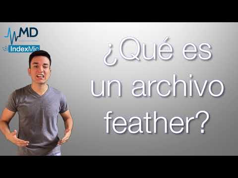 ¿Qué es un archivo feather? (IndexMic Basics)