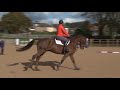 Showjumping training for eventers Part 3
