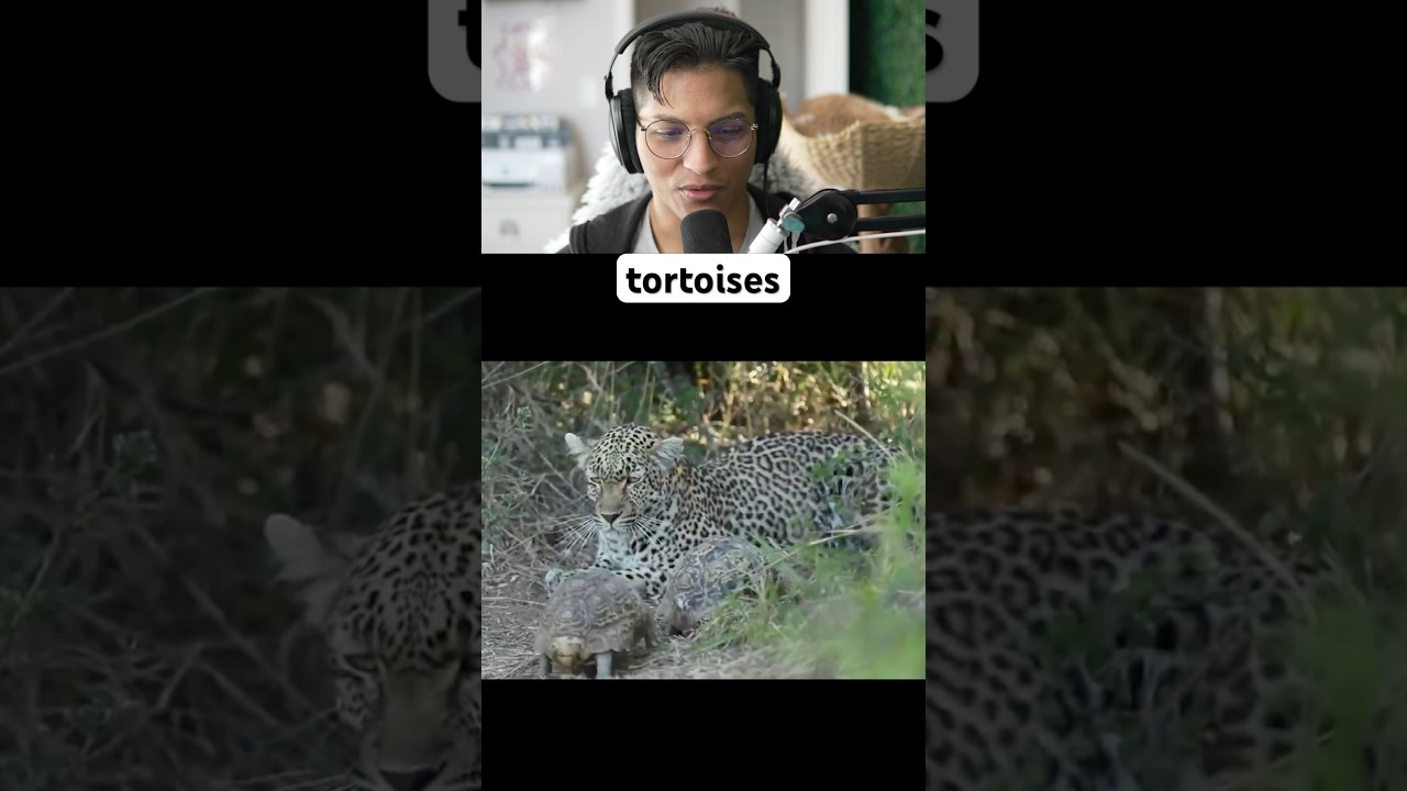 They had another priority 😳😭 