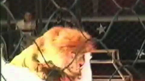 Lion attacks trainer