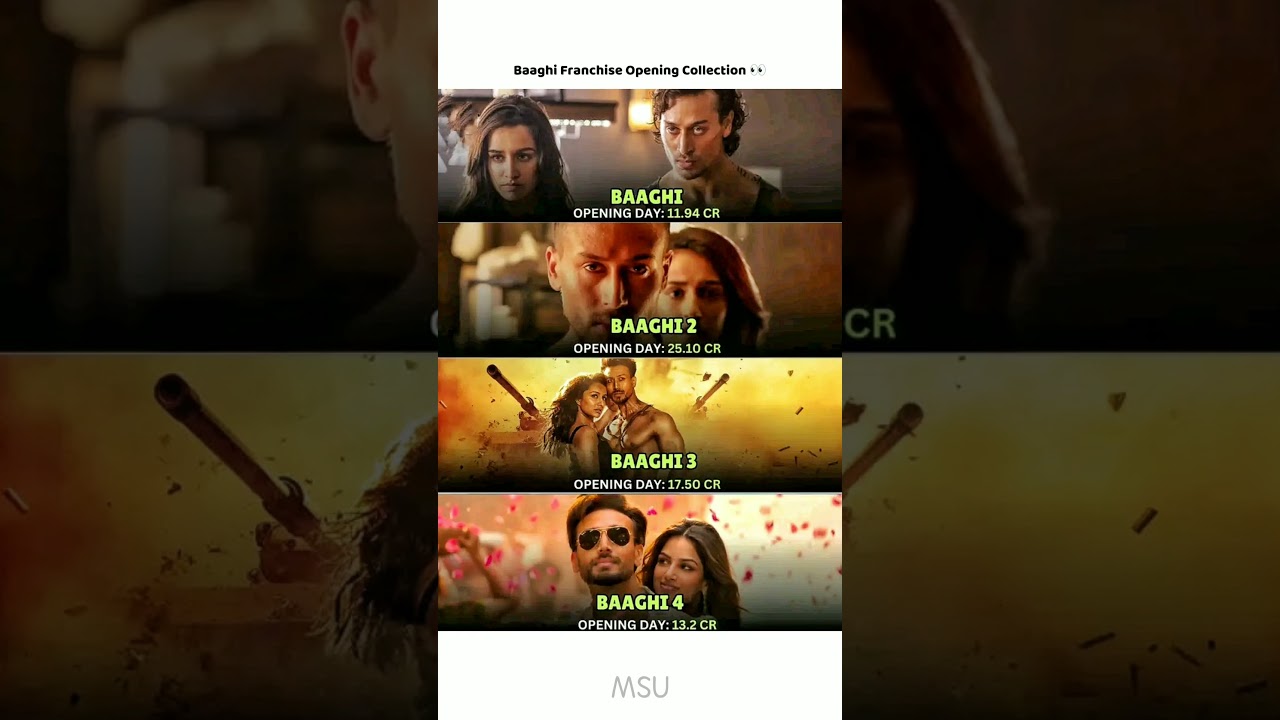 Baaghi 4 Opening Collection 💥 