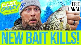 This NEW Bait Catches Pre-Spawn Crappie!