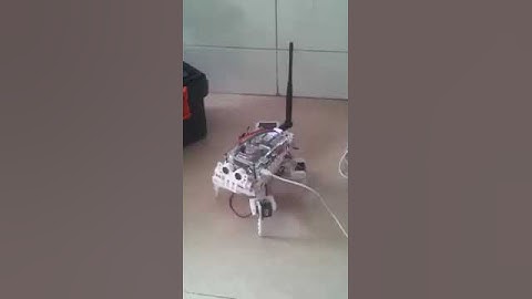 Control quadruped by voice