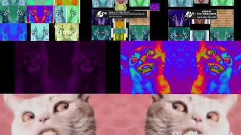 36 Preview 2 Numa Cats in low voices