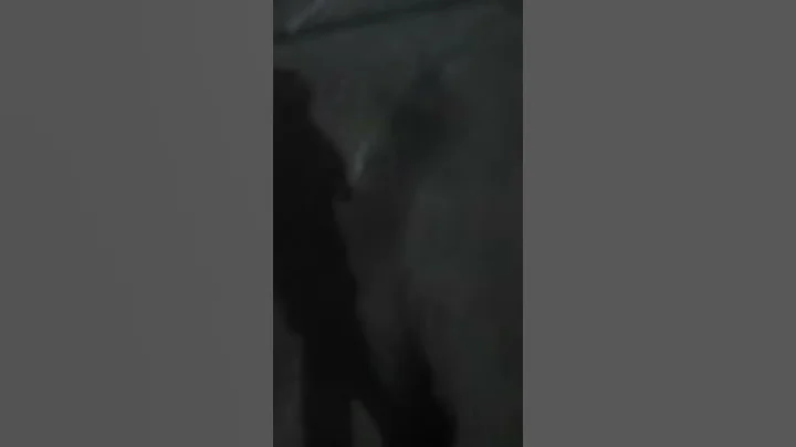 Run gang