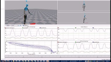 Spine measurement during weight lifting using MVN BIOMECH