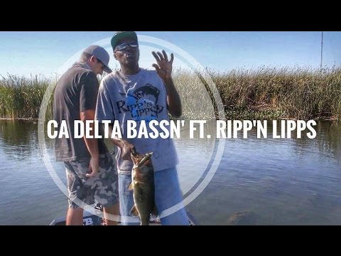 Bass Fishing the CA Delta Ft. Rippn Lipps "Septemeber"