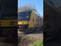 Several reported injured in Danish train crash