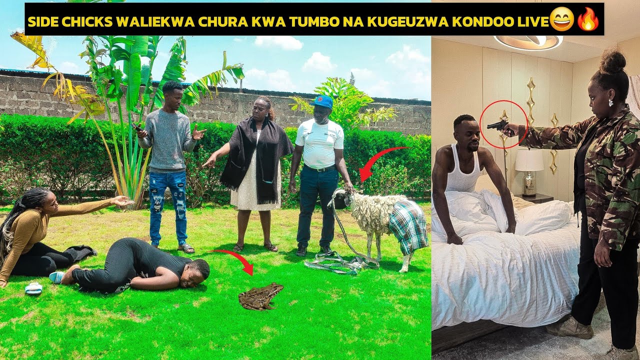 Afande Cate is Smiling😂🔥 Nàbii Däktāri in No Joke🔥 Sidechicks Grew Frogs & Turned to Sheep Begging🙆🤗