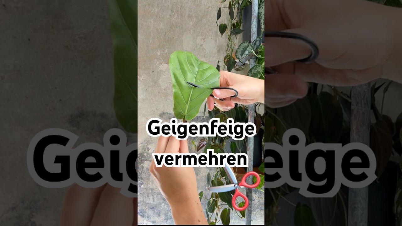 blühender farn gegen wühlmäuse Wühlmaus-Frei Granulat 300g main image 1