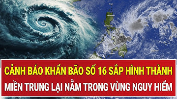 Thời sự nóng: Cảnh báo khẩn bão số 16 sắp hình thành, miền Trung lại nằm trong vùng nguy hiểm