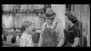 Lassie S02 E15 - The Gypsies