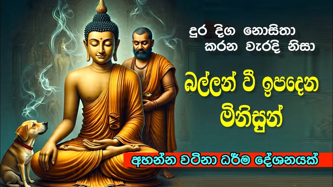සිල් නොරැක දන් දුන් අය | තිරිසන් ලොව වෙත ඇදී යන හැටි 😪