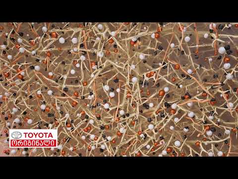 ტოიოტას ორიგინალი სამუხრუჭე ხუნდები