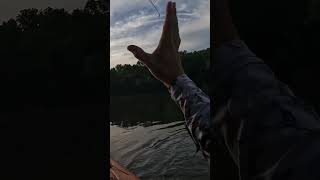 Smallies Are Fun To Catch