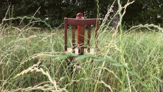 15 Sec Trailer Behind The Wall Vanessa Anne Redd