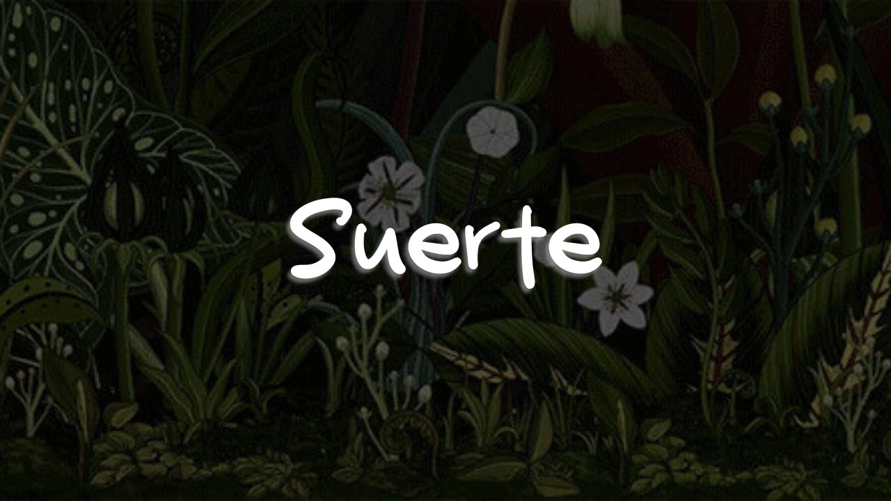 Joss Favela - Suerte (Letra)