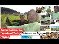 JAPAN OFW STORY: TATAY HAPON AT MAG HARVEST