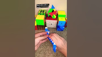 How to make duck with the snake puzzle #million views #viral video ￼