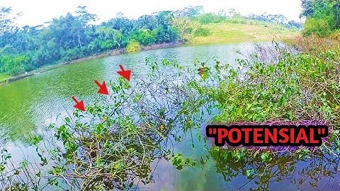 POTENSI SARANG IKAN‼️mancing ikan nila di waduk lahor MALANG
