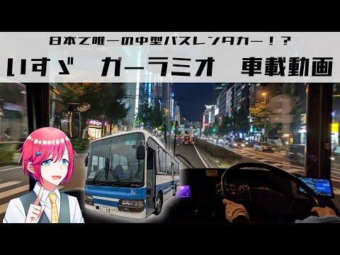 【PURE ENGINE SOUND】中型バスのレンタカーを運転してきました【クルマ好きVTuber】 Japanese Bus onboard camera. Tokyo midnight