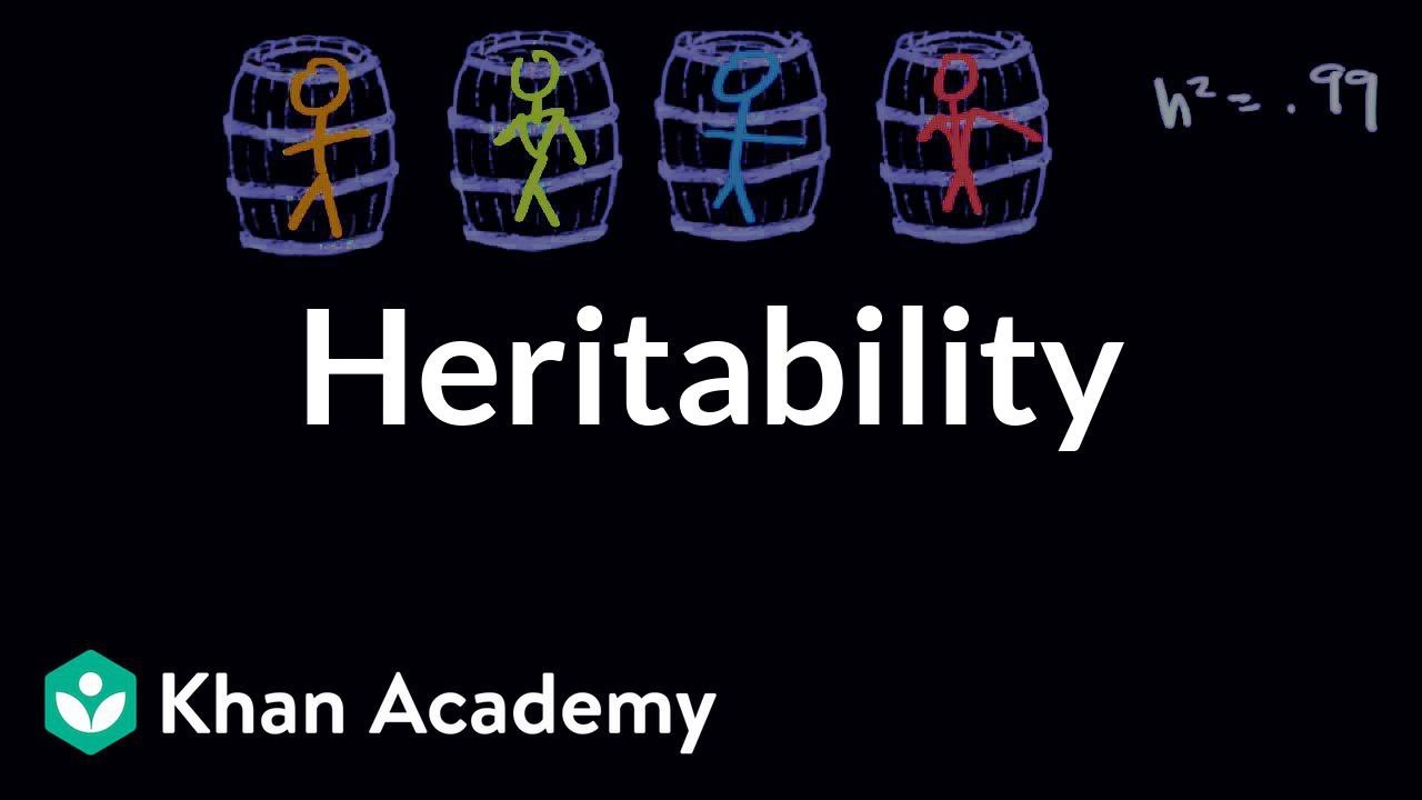 Heritability | Behavior | Mcat | Khan Academy