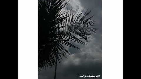 قرآن كريم بصوت جميل ستوريات دينيه ستوري انستا قرآن ستوريات بدون حقوق ❤️