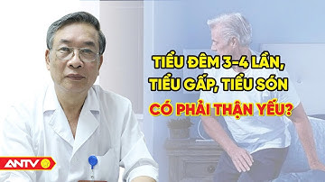 TIỂU ĐÊM, đi tiểu nhiều, tiểu gấp, tiểu són "suốt 1 tháng". Có phải bị thận yếu không? | ANTV