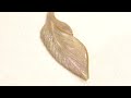 夜光貝feather