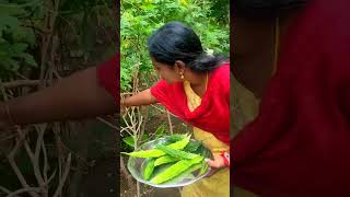 Comment La Sollungooooooo 😁😁😁😁😁