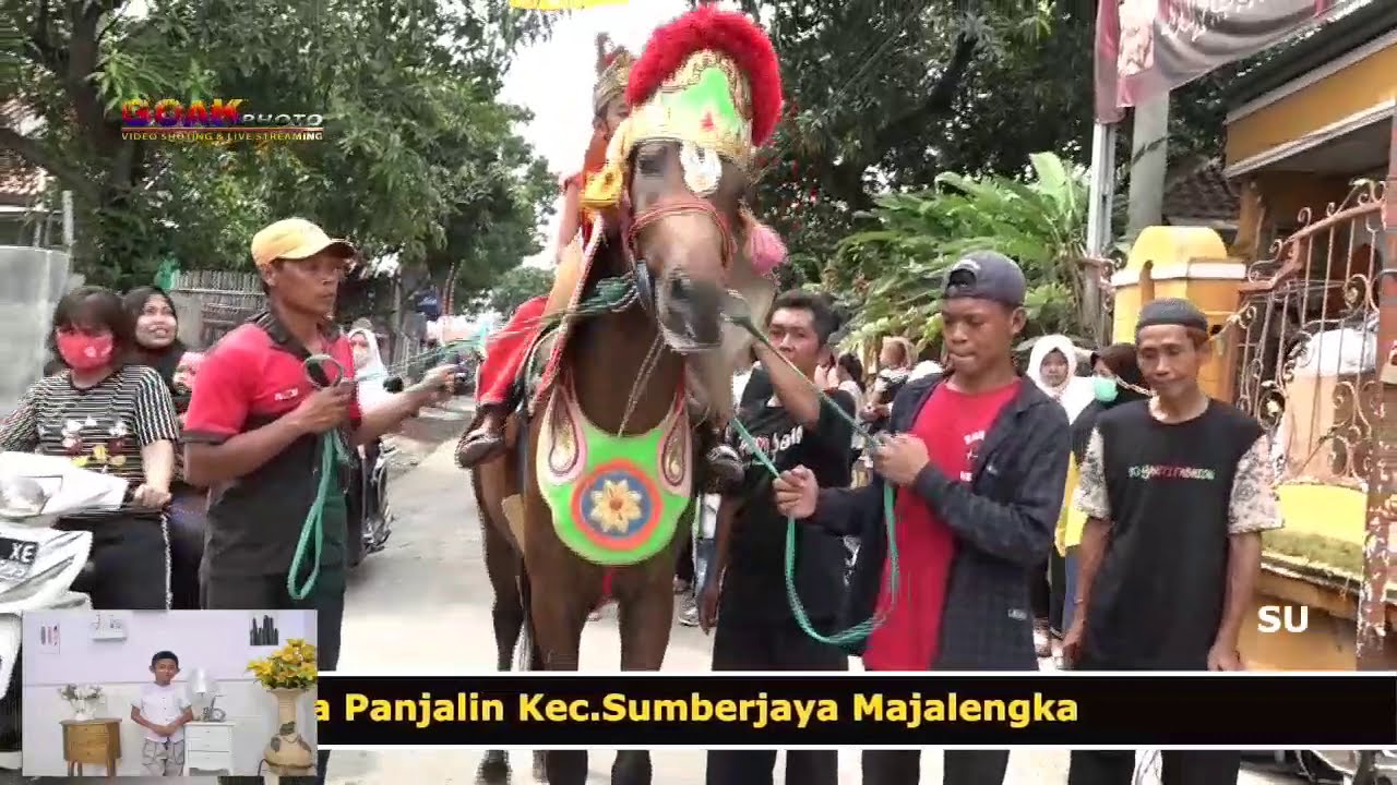 ARAK ARAKAN KUDA RENGGONG MAJALENGKA | HORSE ATTRACTION | dangdut dancing horse