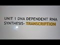 Transcription in prokaryotes | NEET | BSC | BY SUMIT KUMAR RAM