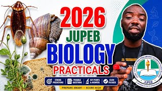 2026 JUPEB BIOLOGY PRACTICAL tutorial