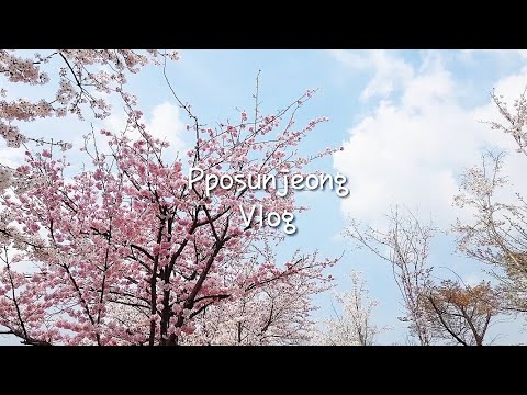 뽀순정/일상Vlog+중국당면떡볶이해먹고 필라운동화,케냐원두사고,쭈꾸미볶음먹고 벚꽃구경 한 일상#26