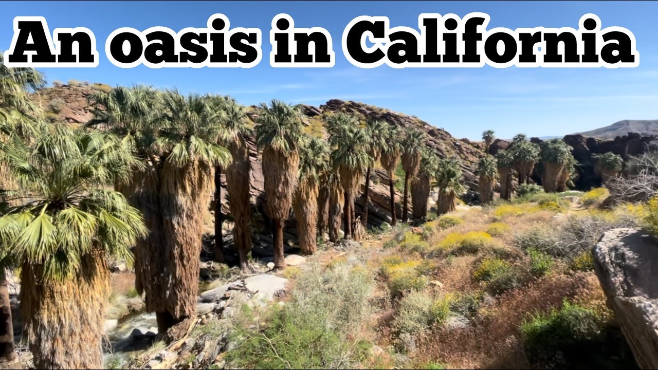 Hiking guide to Murray Canyon near Palm Springs California