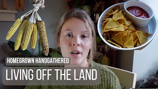 Living off what we grow, forage and hunt (Week 4) by Homegrown Handgathered 18,519 views 5 months ago 13 minutes, 23 seconds